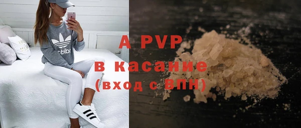 индика Армянск