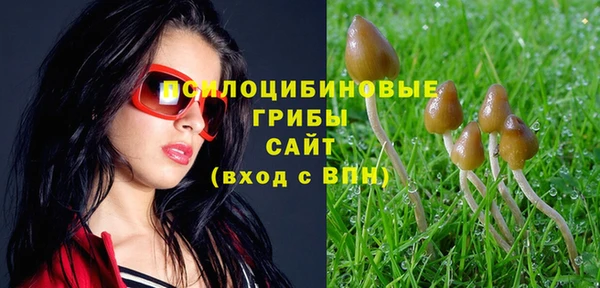шишки Балахна