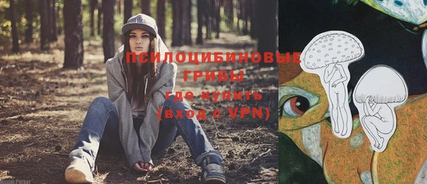 шишки Балахна